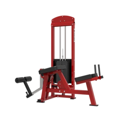 Dynamic Prone Leg Curl